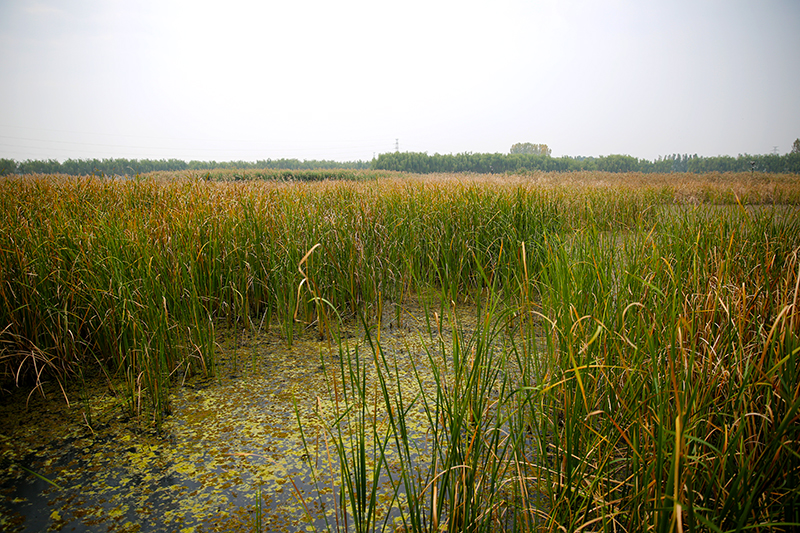 1604049349273180.jpg HW6A2495.jpg