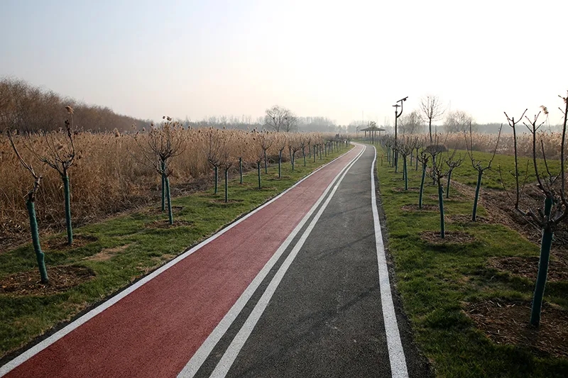 1609121439211270.jpg 640.webp (20).jpg